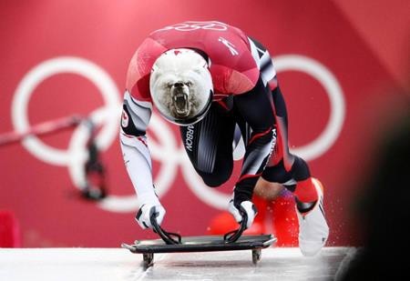 Rực rỡ sắc màu với dàn mũ bảo hiểm cực “độc” tại Olympic mùa đông 2018 - 3 Chú gấu trắng bắc cực trên mũ chắc hẳn sẽ tiếp thêm sức mạnh cho vận động viên Barrett Martineau của Canada thi đấu.