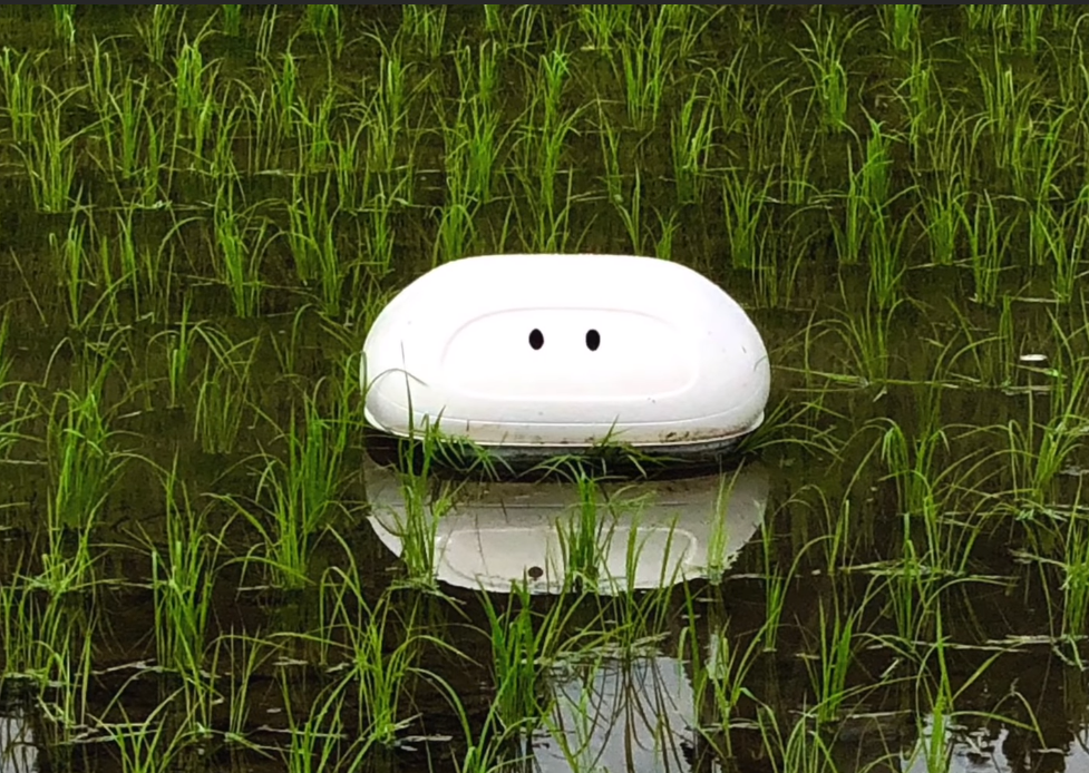 Người Nhật sáng chế robot "làm việc" ngoài ruộng lúa