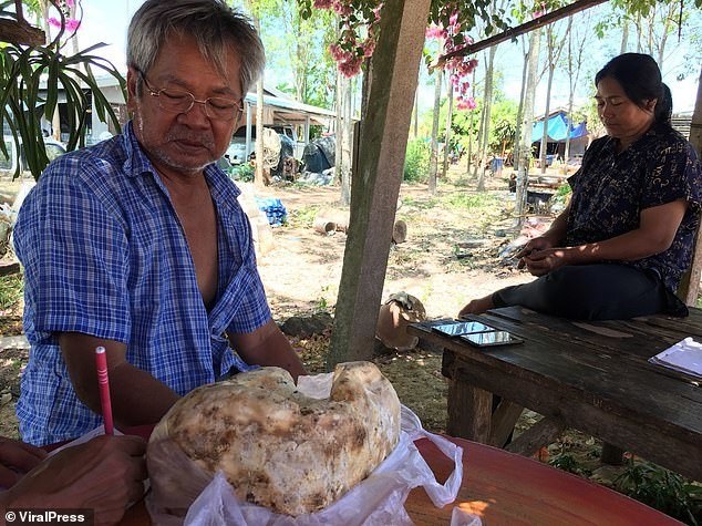 Vui tay ngồi nạo “khối lạ lùng”, người đàn ông tiếc ngẩn ngơ vì không biết đó là báu vật