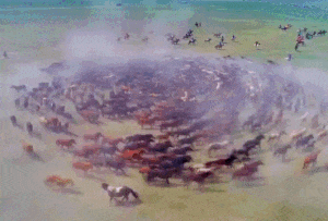 Clip: Cảnh vó ngựa cuốn tung cát bụi tại lễ hội ở Mông Cổ