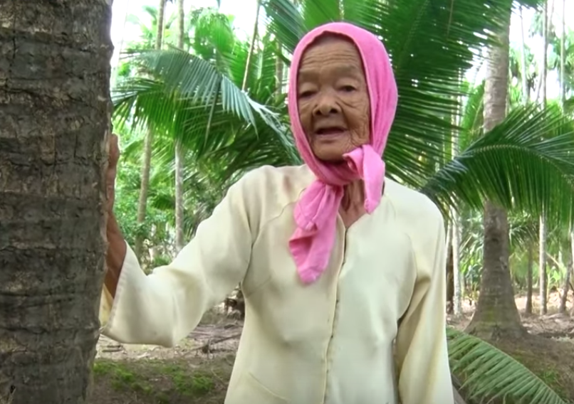 Cụ bà gần 80 tuổi leo dừa nhanh thoăn thoắt khiến nhiều người kinh ngạc