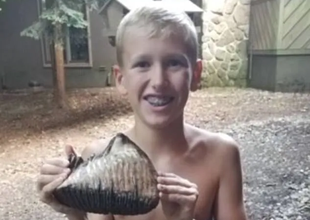 Cậu bé 12 tuổi tìm thấy răng ma mút khi đang đi nghỉ hè