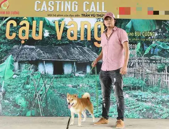 Tranh luận xung quanh chú chó đóng phim “Cậu Vàng”
