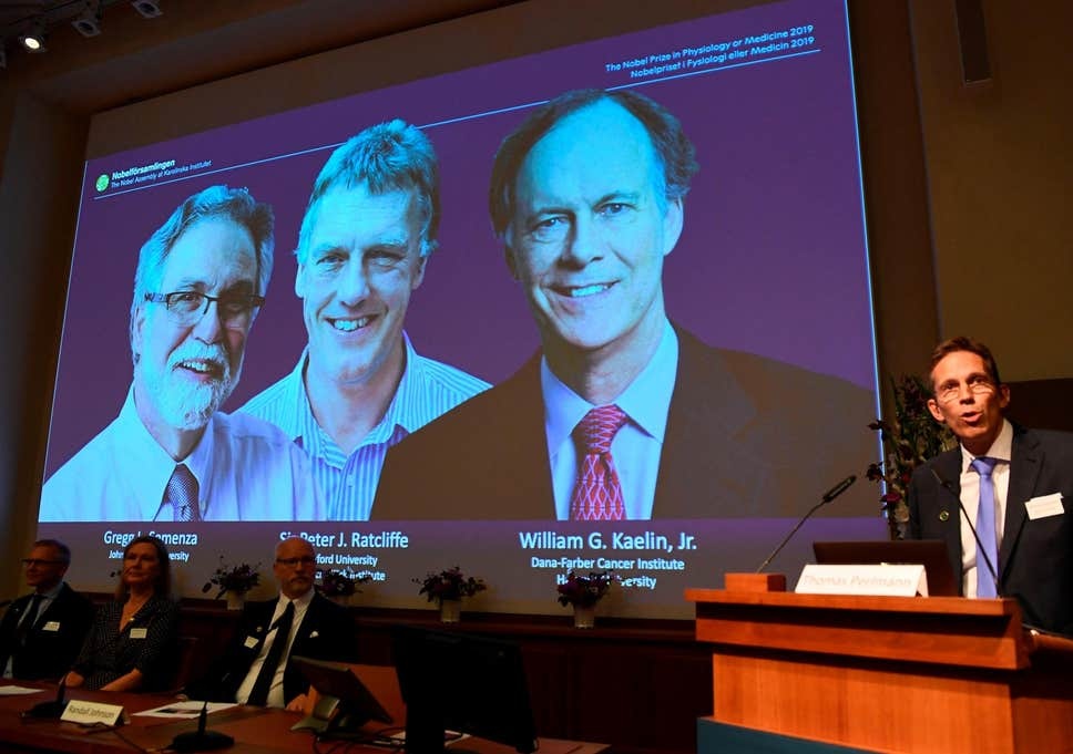 Ba nhà khoa học chia nhau giải Nobel Y học