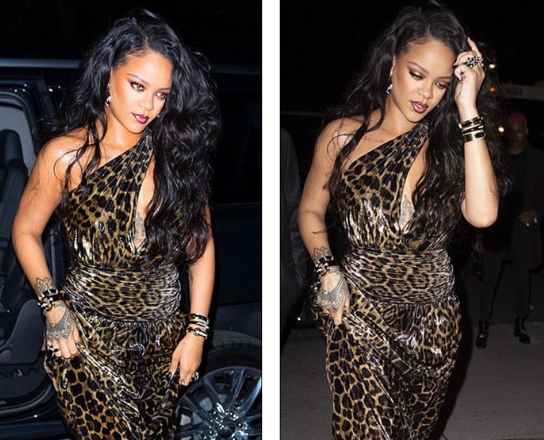 Rihanna xinh đẹp với váy da báo xẻ sâu