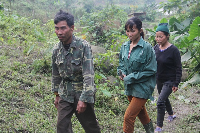 Theo người dân mang “hương vị núi rừng” về gói bánh chưng Tết - 2 Còn đối với nhiều người dân ở huyện miền núi Vũ Quang (Hà Tĩnh), thời điểm trên cũng là lúc nhiều gia đình rủ nhau vào những cánh rừng già ở dãy Trường Sơn để mang hương vị Tết về nhà.