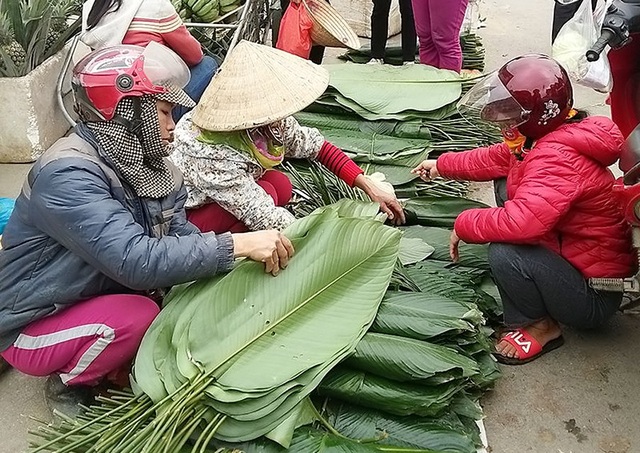 Theo người dân mang “hương vị núi rừng” về gói bánh chưng Tết - 1 Hàng năm cứ vào dịp giữa tháng Chạp, tại nhiều điểm chợ ở Hà Tĩnh đã có người bày bán lá dong, những gia đình miền xuôi hoặc không có điều kiện đi lấy lá dong đã bắt đầu mua về bảo quản chờ gói bánh chưng ngày giáp Tết. Lá dong bày bán ở chợ có thể được người đi rừng hái về cũng có nhiều gia đình lấy từ vườn nhà.