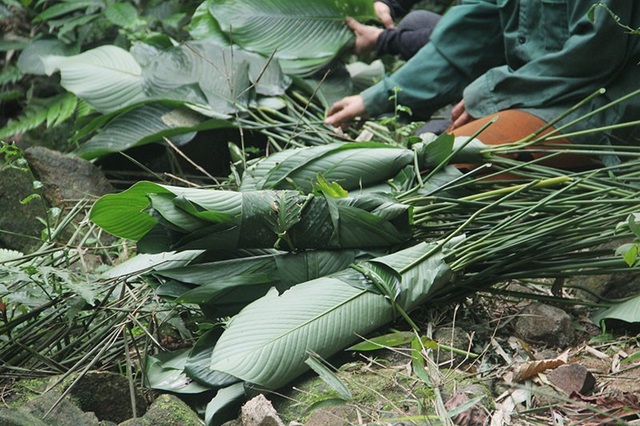 Theo người dân mang “hương vị núi rừng” về gói bánh chưng Tết - 9 Công việc của họ sau đó là tập kết lá dong lại và lựa chọn những chiếc lá lành lặn, buộc lại cẩn thận thành từng bó để mang về.