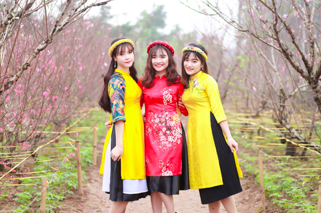 Thiếu nữ Tuyên Quang khoe sắc cùng đào Nhật Tân - 6 Ấn tượng nhất là những luống đào dài tít tắp đã bung nở tạo điều kiện cho bao người thưởng hoa. Mọi người nô nức tới đây để lưu lại những hình ảnh đẹp nhất chào xuân mới.