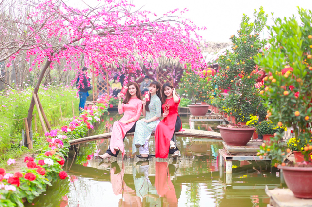 Thiếu nữ Tuyên Quang khoe sắc cùng đào Nhật Tân - 5 Nhật Tân giờ này đã tràn ngập hoa, rực rỡ sắc màu và các sạp bán đồ trang trí tết, câu đối, đèn lồng…