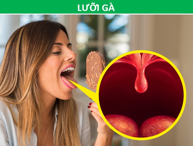 Những bộ phận cơ thể tưởng là “đồ thừa” lại không hề vô dụng như bạn nghĩ - 4 Những bộ phận cơ thể tưởng là “đồ thừa” lại không hề vô dụng như bạn nghĩ - 4