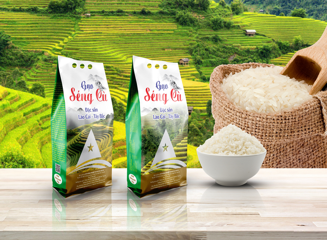 Lào Cai: Gạo đặc sản Séng Cù ngon nức tiếng đang hút khách Tết | Báo Dân trí