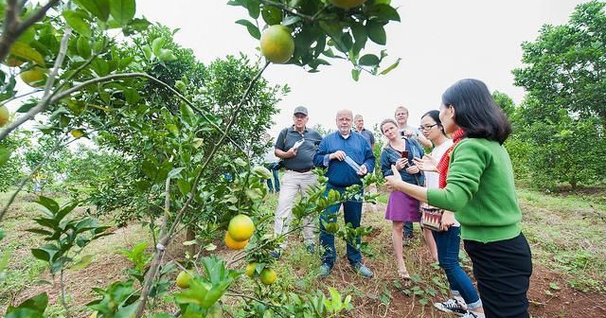 Doanh nghiệp xã hội tại Việt Nam: Có mặt ở cả 3 miền, ngày càng trẻ và giàu tham vọng