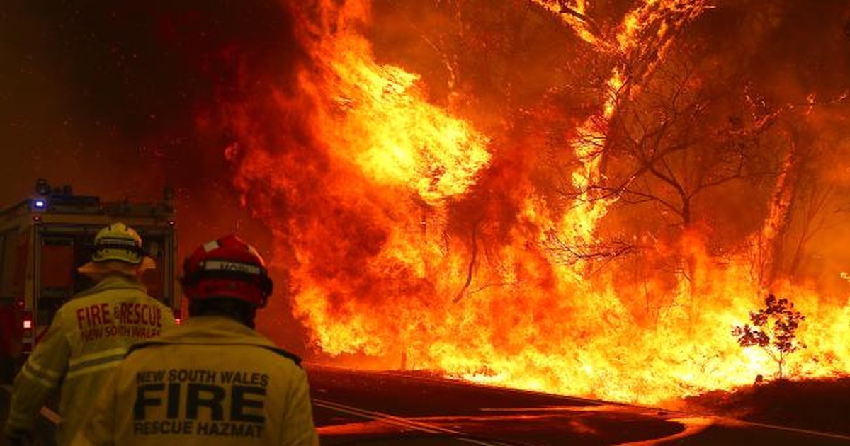 Australia đón trận mưa “vàng” giữa thảm kịch cháy rừng