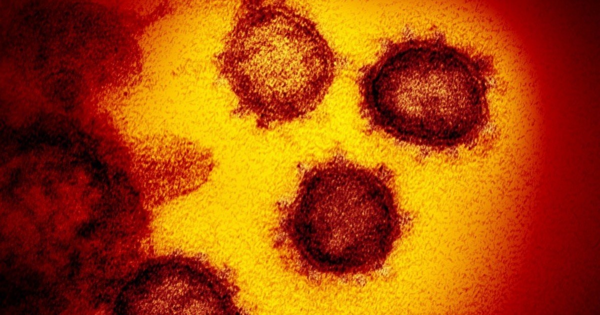 Virus corona mới dễ "bám" vào tế bào người hơn SARS gấp 20 lần