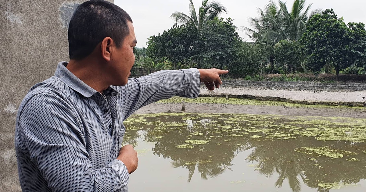 Khai quật bãi cọc nghi liên quan đến trận chiến Bạch Đằng mới phát lộ