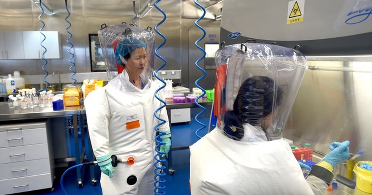 Trung Quốc thừa nhận từng yêu cầu phòng thí nghiệm hủy mẫu virus corona