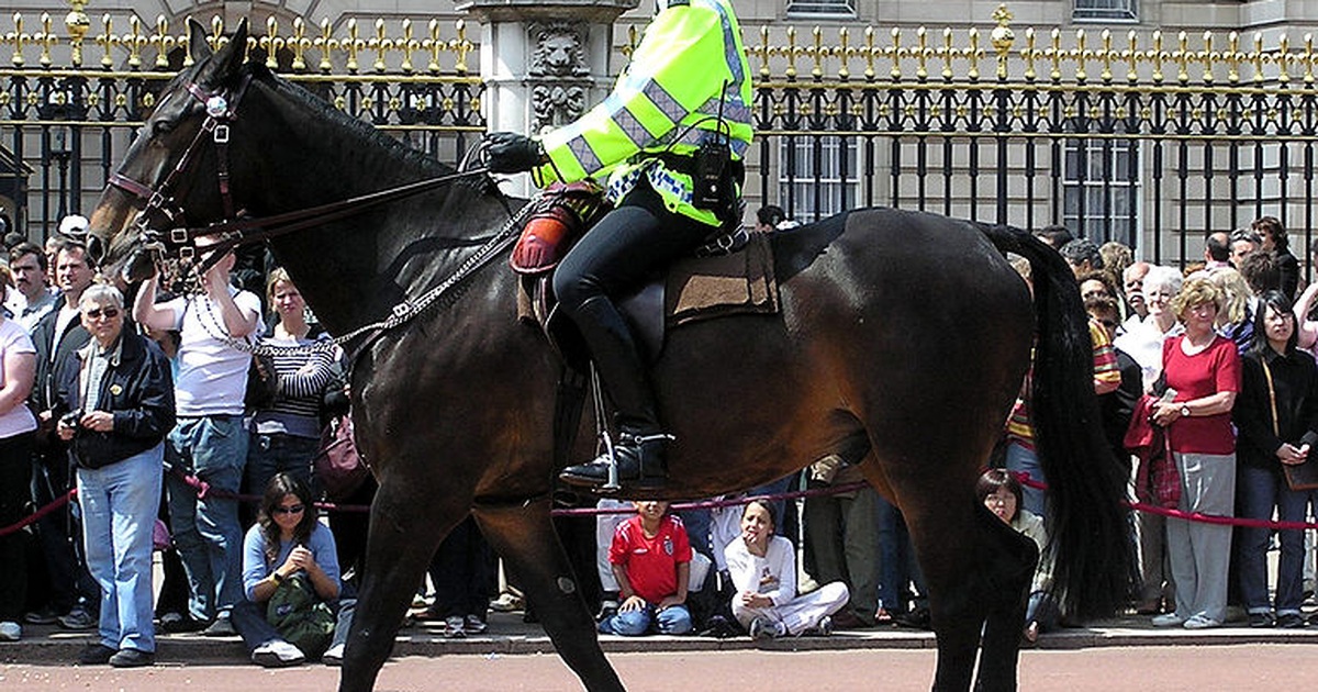 Các đội cảnh sát kỵ binh trên thế giới