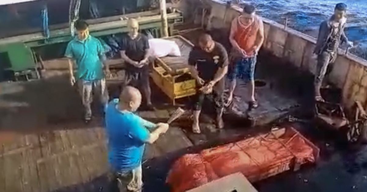 Thuyền viên Indonesia nói “bị đối xử như động vật” trên tàu cá Trung Quốc