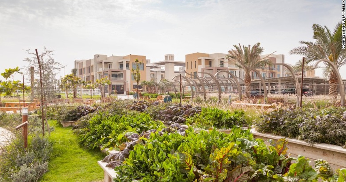 View - Cảnh "trồng rau, nuôi gà" trong thành phố xanh đầu tiên ở Dubai | Báo Dân trí