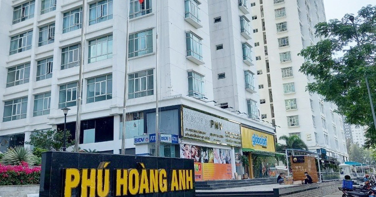 dantri.com.vn