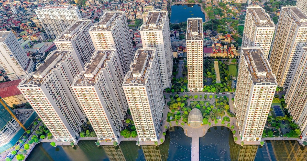 dantri.com.vn