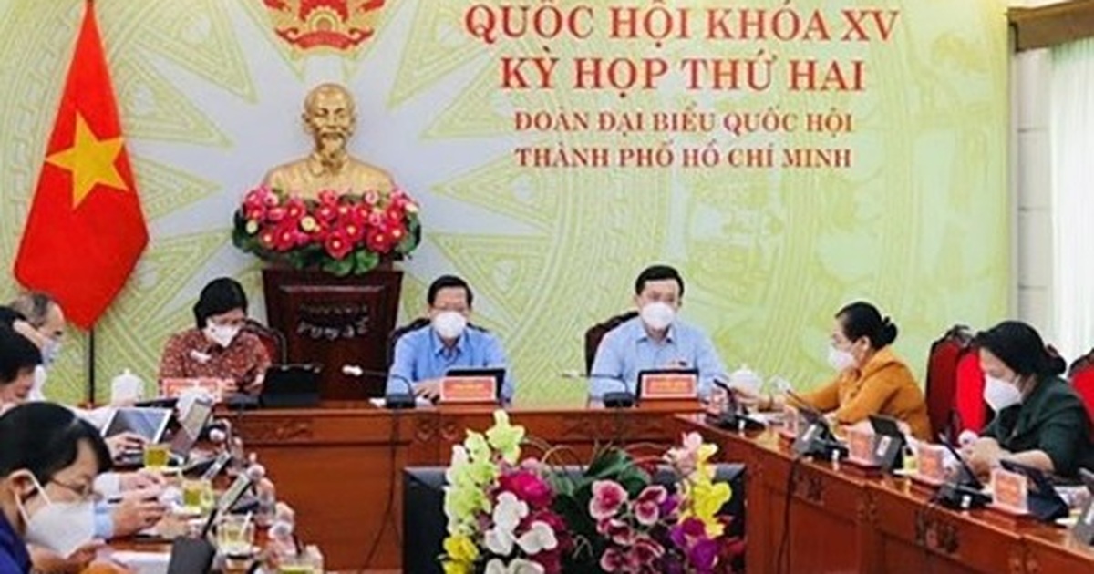 20+ Bai Dan Tri Hom Nay