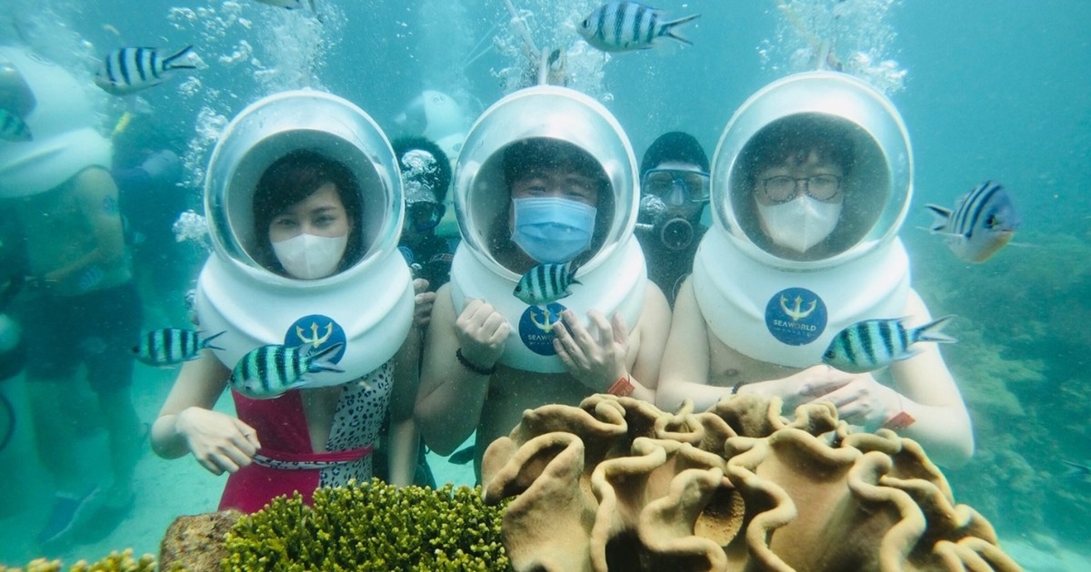 Công viên bảo tồn san hô duy nhất ở Việt Nam được báo Hàn Quốc khen ngợi hết lời