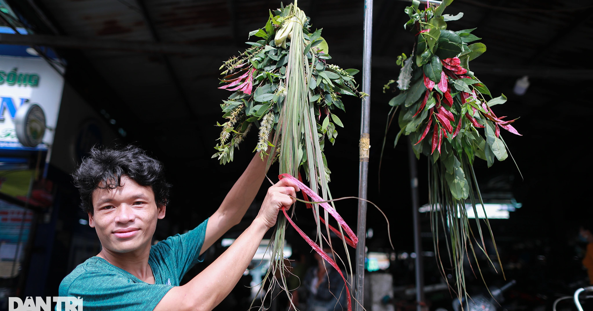 Người dân TPHCM 