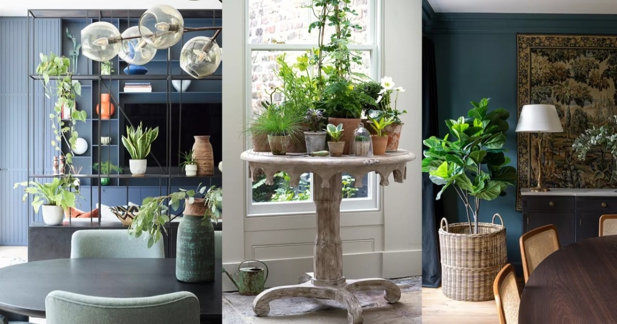 View - Nếu định trang trí cây xanh trong nhà thì dưới đây là các ý tưởng cho bạn | Báo Dân trí