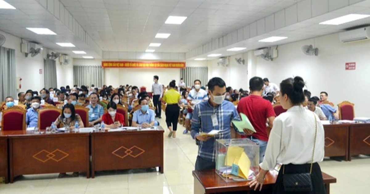Read more about the article Đất đấu giá ở Mê Linh lại xác lập kỷ lục giá mới, gần 100 triệu đồng/m2