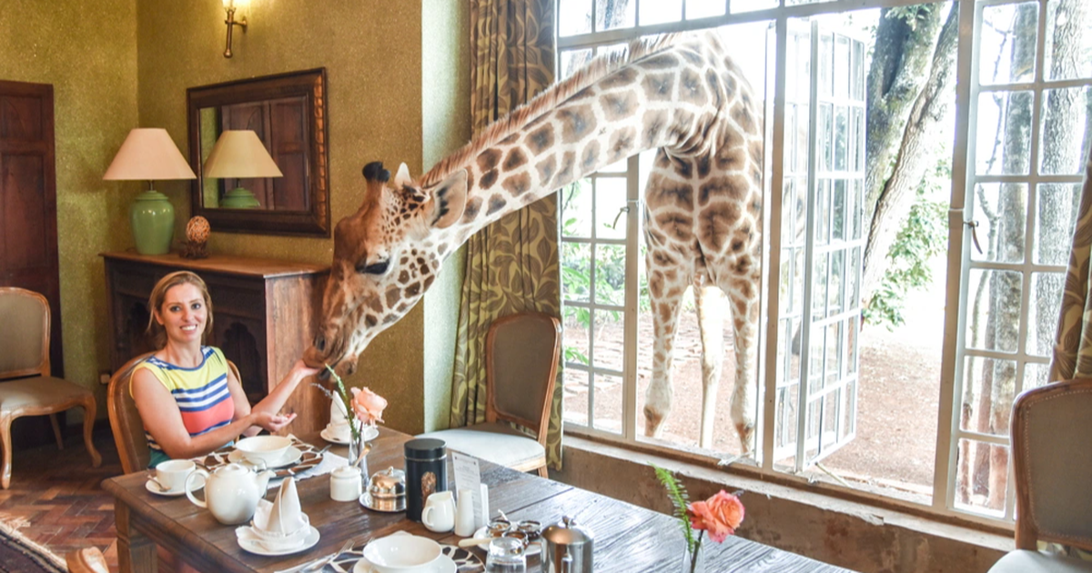 View - Dù có tiền nhưng chưa chắc bạn đã đặt được phòng tại khách sạn này | Báo Dân trí