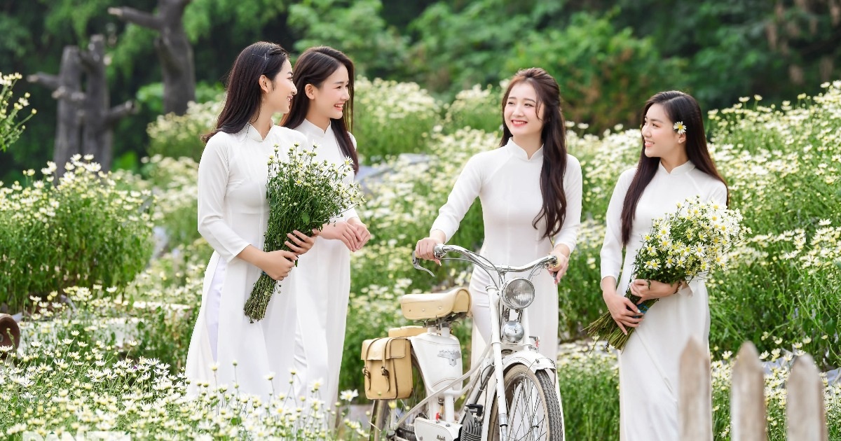 View - Thiếu nữ Hà Thành thướt tha khoe sắc bên cúc họa mi đầu mùa | Báo Dân trí