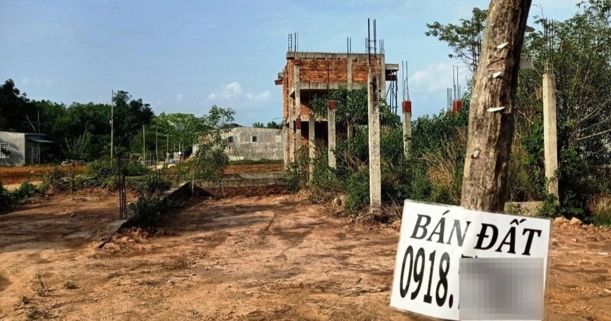 Read more about the article Giá rao bán đất nền ở Phú Quốc giảm 30-50% sau 1 năm, môi giới bỏ việc