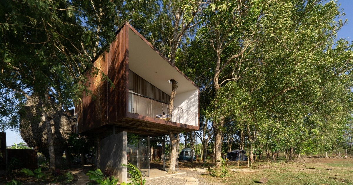 View - Nhà 1 tỷ đồng dựng từ phế liệu, nằm "lơ lửng" trên cây ở Bà Rịa - Vũng Tàu | Báo Dân trí