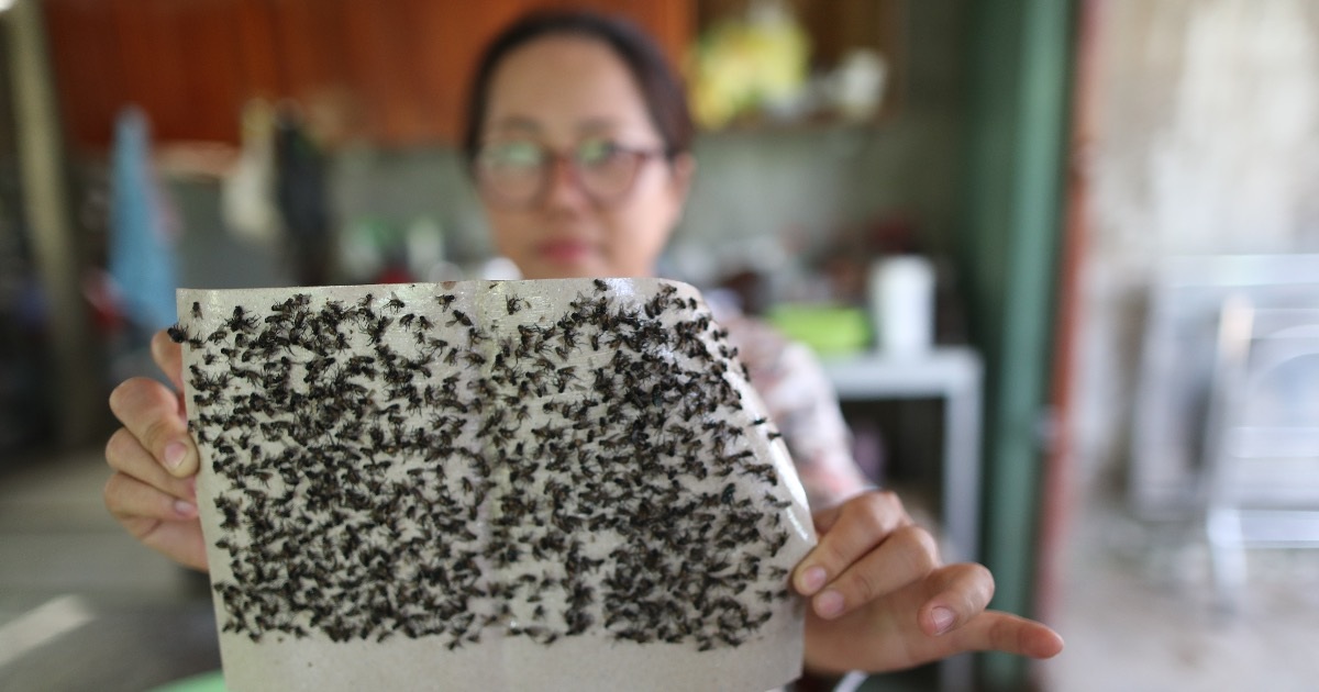 View - Ô nhiễm rác ở miền Tây: Dân chặn xe, treo băng rôn, than trời vì "núi rác" | Báo Dân trí