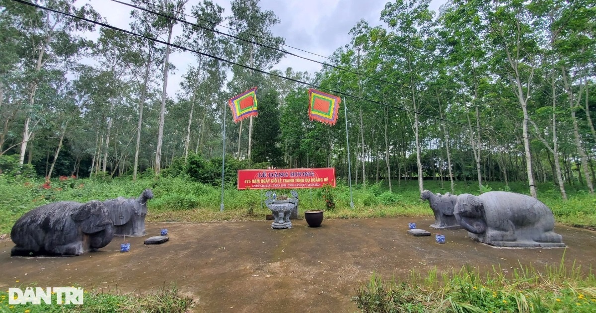 Gallery - Kỳ lạ "dòng lệ" của voi đá ở kinh đô Vạn Lại - Yên Trường | Báo Dân trí