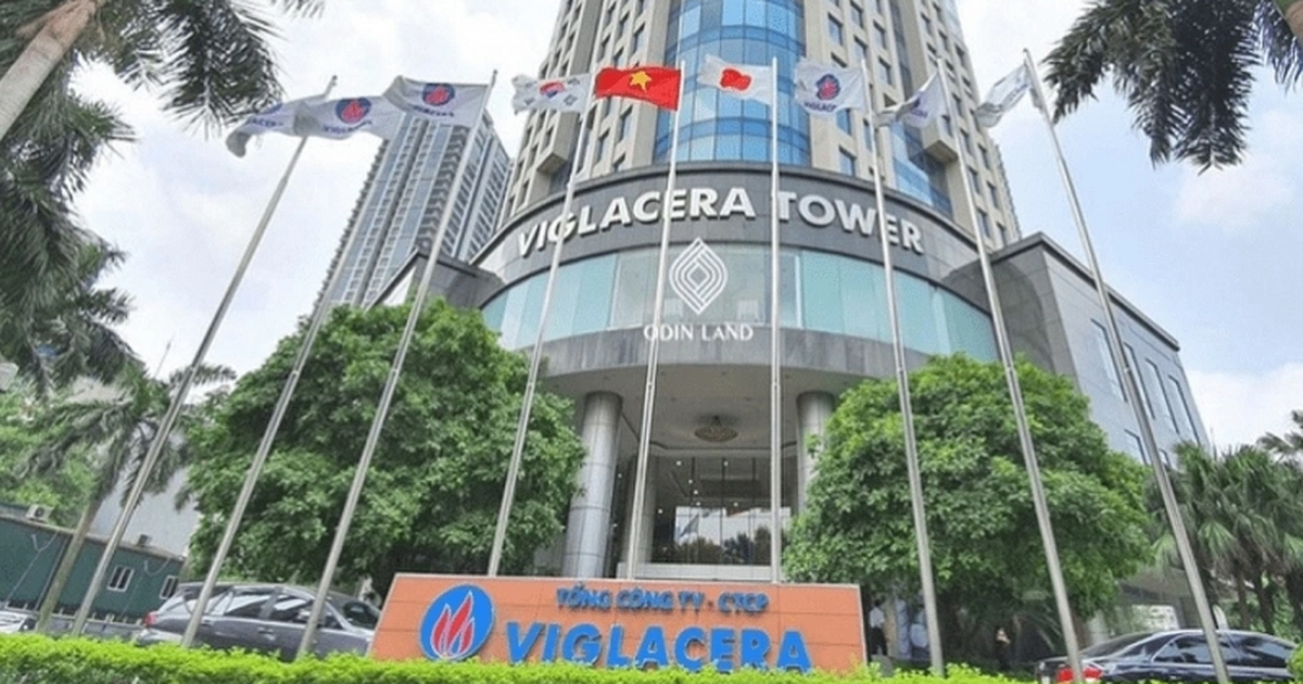 Read more about the article Nửa đầu năm, doanh thu mảng bất động sản của Viglacera giảm 94%
