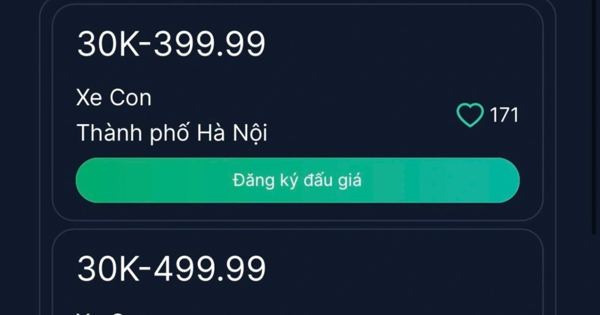 View - Đấu giá biển số: "Ngũ quý, tứ quý" nhiều người quan tâm, "49, 53" ế | Báo Dân trí