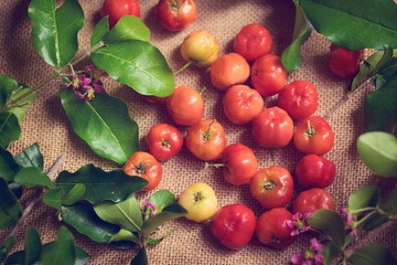 Ăn sơ ri mỗi ngày để sở hữu làn da đẹp và vóc dáng thon gọn? - 1 Ăn sơ ri mỗi ngày để sở hữu làn da đẹp và vóc dáng thon gọn? - 1