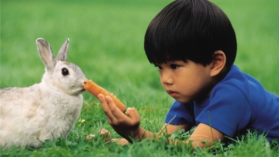 4 bước để mẹ dạy bé yêu thiên nhiên ngay tại nhà - 3 4 bước để mẹ dạy bé yêu thiên nhiên ngay tại nhà - 3