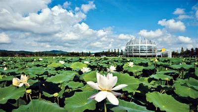 Ưu đãi 1 triệu đồng tour Hàn Quốc dịp 30/4-1/5 - 2 Ưu đãi 1 triệu đồng tour Hàn Quốc dịp 30/4-1/5 - 2