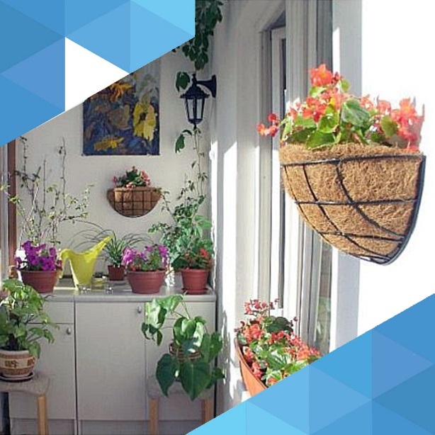 Giải tỏa năng lượng xấu cho ngôi nhà - 2 Trồng cây xanh để tạo năng lượng tích cực cho căn phòng, ngôi nhà