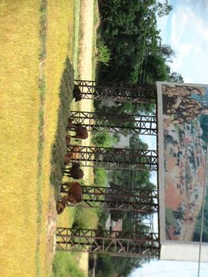 Người “há miệng thở”, sông hồ khô cạn vì nắng nóng - 4 Người “há miệng thở”, sông hồ khô cạn vì nắng nóng - 4