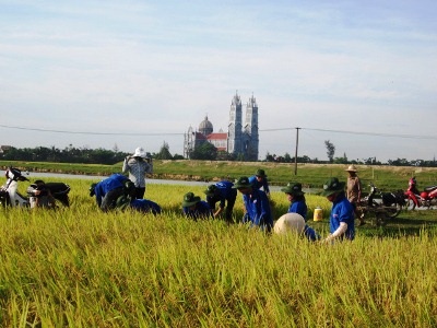 Hà Tĩnh: Màu xanh tình nguyện giữa khắp cánh đồng - 1