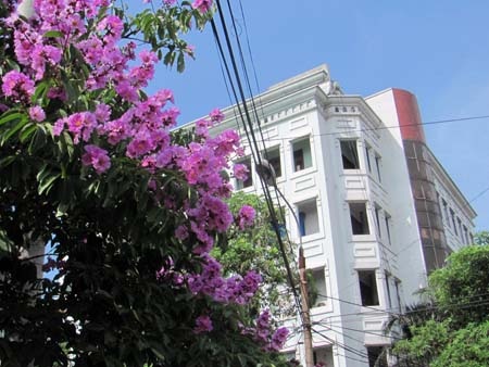 TP. Hà Tĩnh rực rỡ bức tranh hoa mùa hạ  - 19