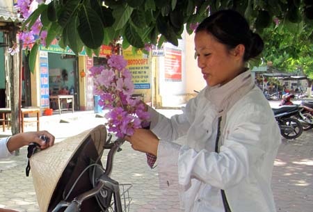 TP. Hà Tĩnh rực rỡ bức tranh hoa mùa hạ  - 13