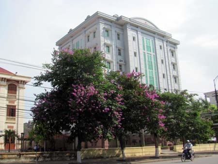 TP. Hà Tĩnh rực rỡ bức tranh hoa mùa hạ  - 23