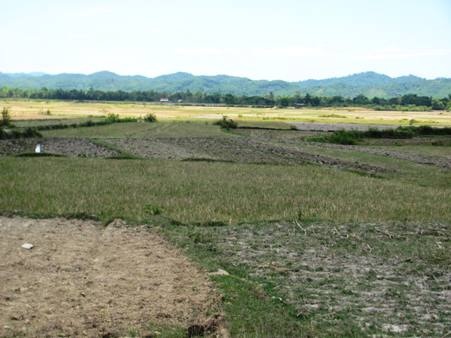 “Rốn lũ” khốn đốn vì hồ đập... cạn nước - 3