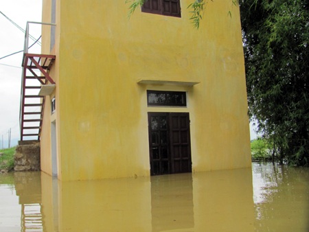 Nông dân “méo mặt” vì hàng ngàn ha lúa đổ rạp, ngập úng - 16